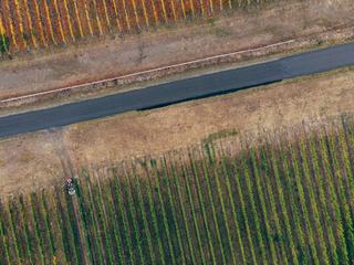 Bougies, tours antigel ou aspersion contre le gel de la vigne