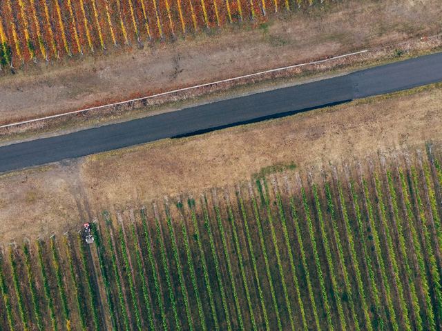 Gel de printemps sur la vigne : comparer les trois grandes parades Gel de printemps sur la vigne : comparer les trois grandes parades