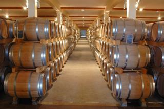 Sulfites dans le vin : rôle, étiquette, vins sans ajout