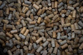 Vin bouchonné : reconnaître le goût de bouchon